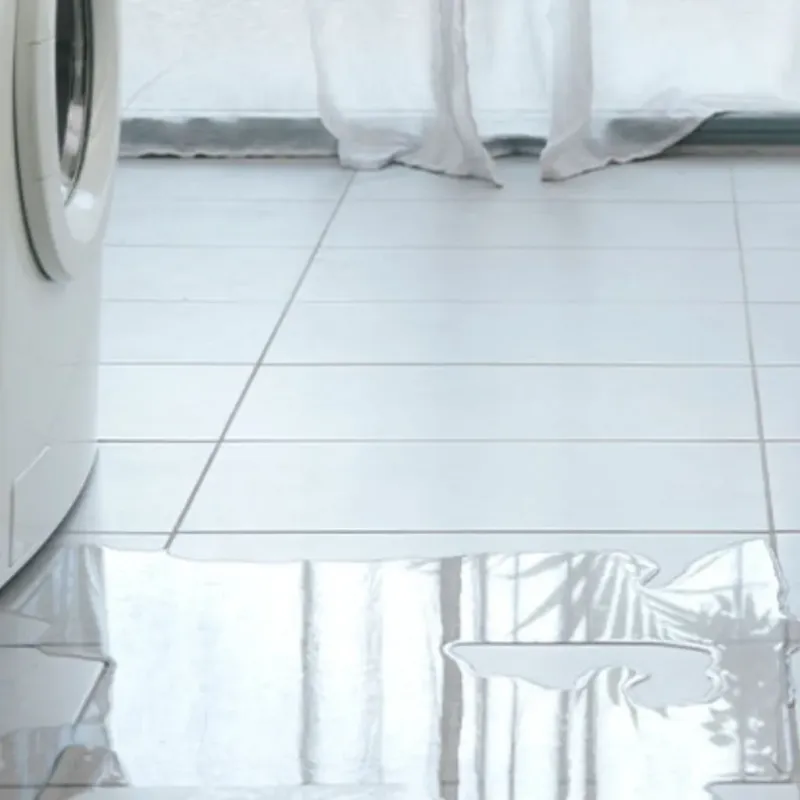 Appliance Leak Cleanup in Forsyth, GA